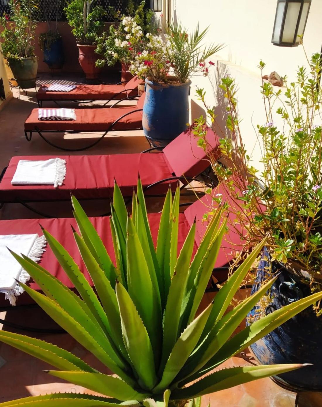 Riad Dar Zampa Marrakesh Luaran gambar