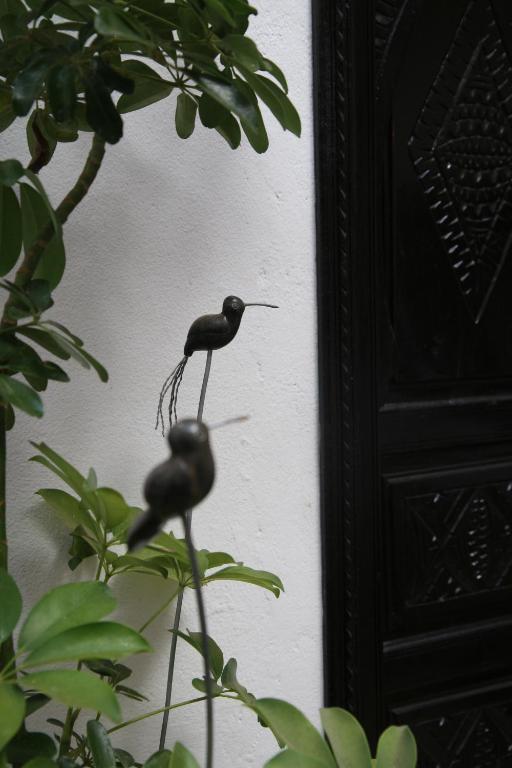 Riad Dar Zampa Marrakesh Luaran gambar